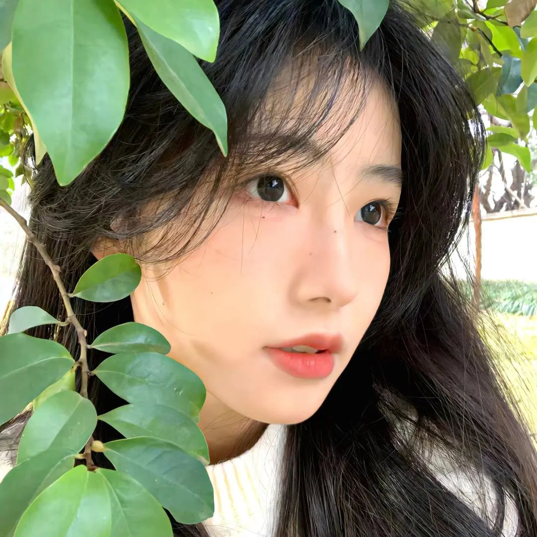 落入大雾将你遗忘